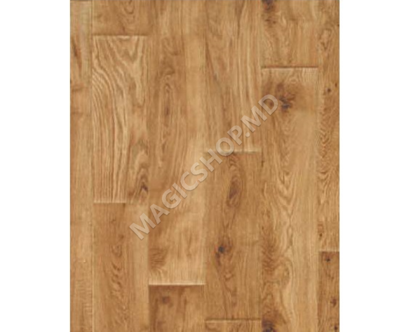 Linoleum Olympic Florida 1